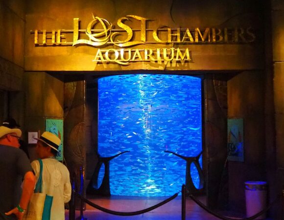 Atlantis The Palm Activities - Lost Chambers Aquarium