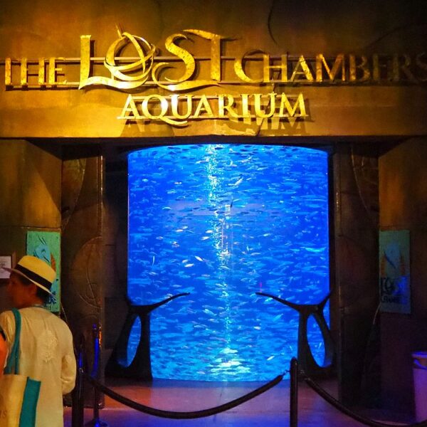 Atlantis The Palm Activities - Lost Chambers Aquarium