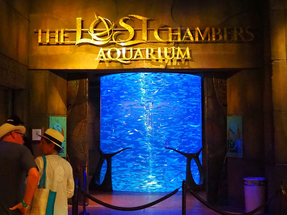 Atlantis The Palm Activities - Lost Chambers Aquarium