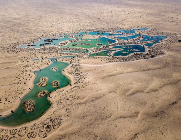 ATTRACTIOINS & CITY TOURS (Al Qudra Desert and Camping) - 4 PAX