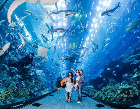 Dubai Aquarium & Underwater Zoo